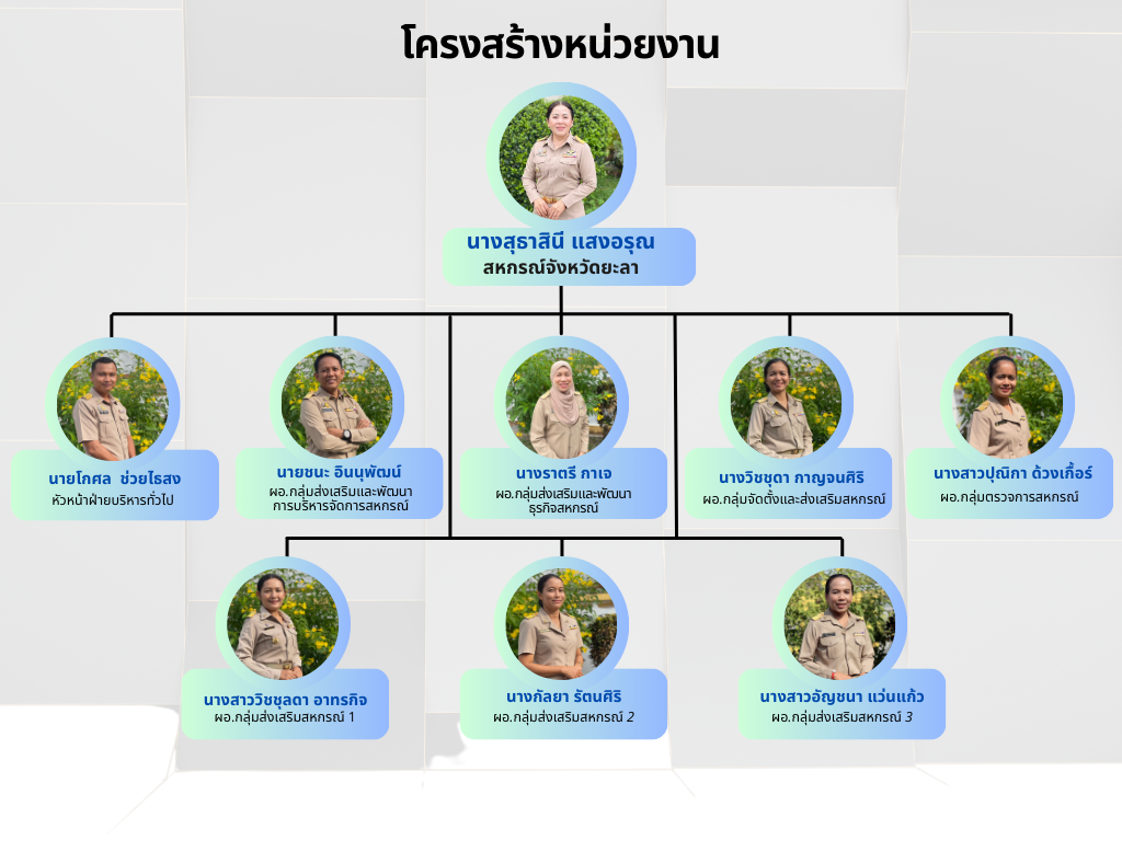 โครงสร้างและอัตรากำลัง 681
