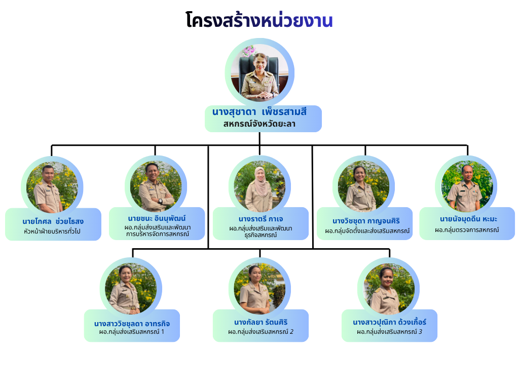 Grey and Blue Modern Company Structure Graph 4