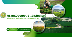 กระทรวงฯ