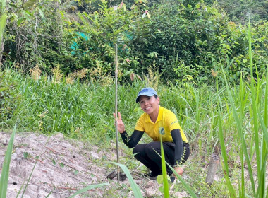 &quot;เข้าร่วมกิจกรรมวันต้นไม้ประจำปีของชาติ พ.ศ.2568&quot; พารามิเตอร์รูปภาพ 12